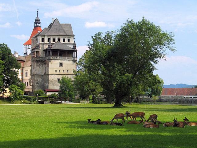 Apartman Podskalska Blatná Buitenkant foto